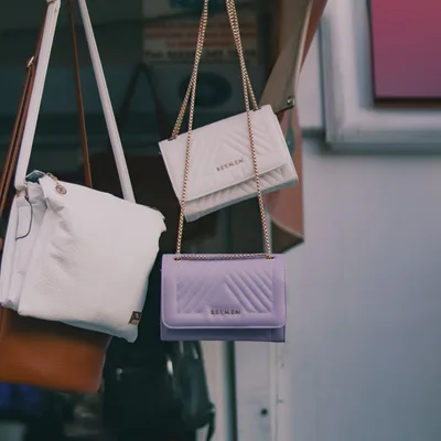 Sac à chaîne dorée